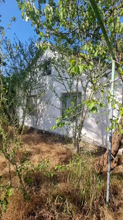 Дом 47 м на участке 11 сот. - Фото 0