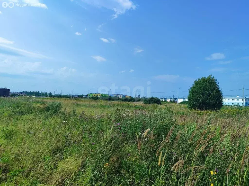 Участок в Кострома, улица Героев (11.43 м) - Фото 2