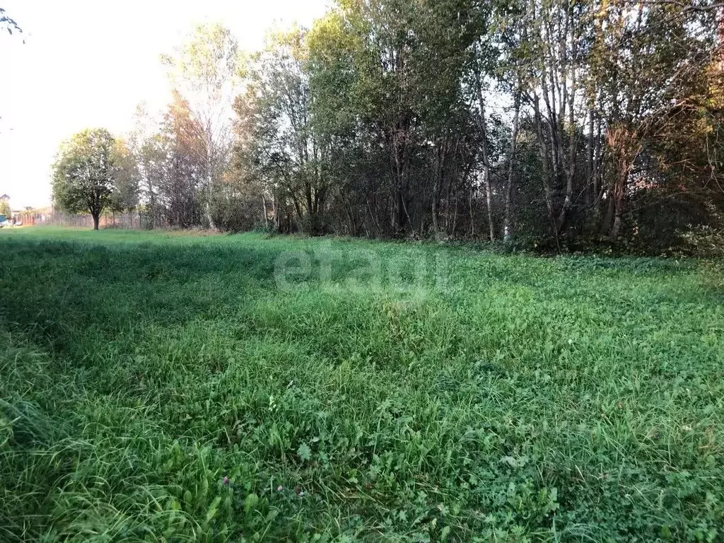 Участок в Ленинградская область, Киришский район, Будогощское ... - Фото 1