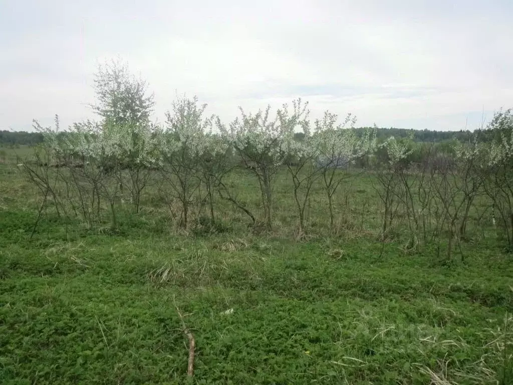 Участок в Ярославская область, Переславль-Залесский пл. Народная (28.0 ... - Фото 1