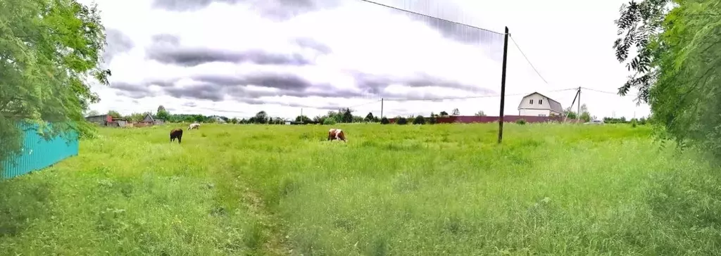 Участок в Владимирская область, Кольчугинский район, Ильинское ... - Фото 0