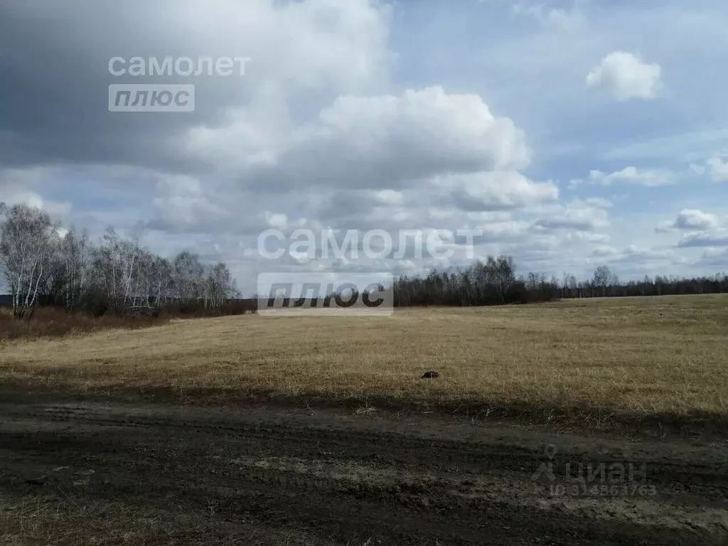 Участок в Иркутская область, Иркутский муниципальный округ, Маркова рп ... - Фото 1