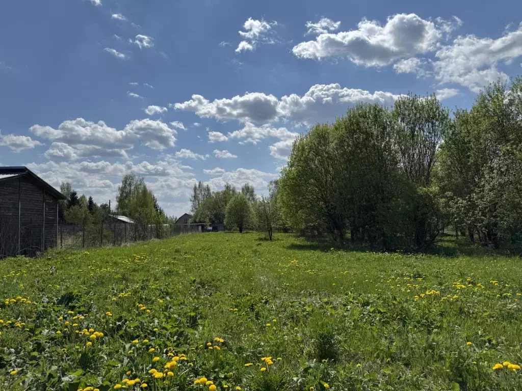 Участок в Владимирская область, Александровский район, Андреевское ... - Фото 0