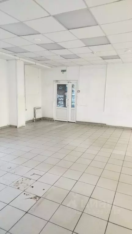 Торговая площадь в Оренбургская область, Оренбург Форштадт мкр, ул. ... - Фото 1