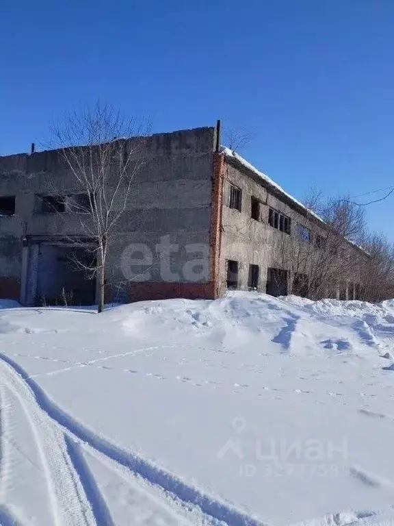 Помещение свободного назначения в Алтайский край, Красногорский район, ... - Фото 1
