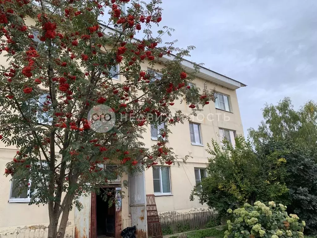 2-к кв. Рязанская область, Рыбновский район, Батуринское с/пос, с. ... - Фото 1