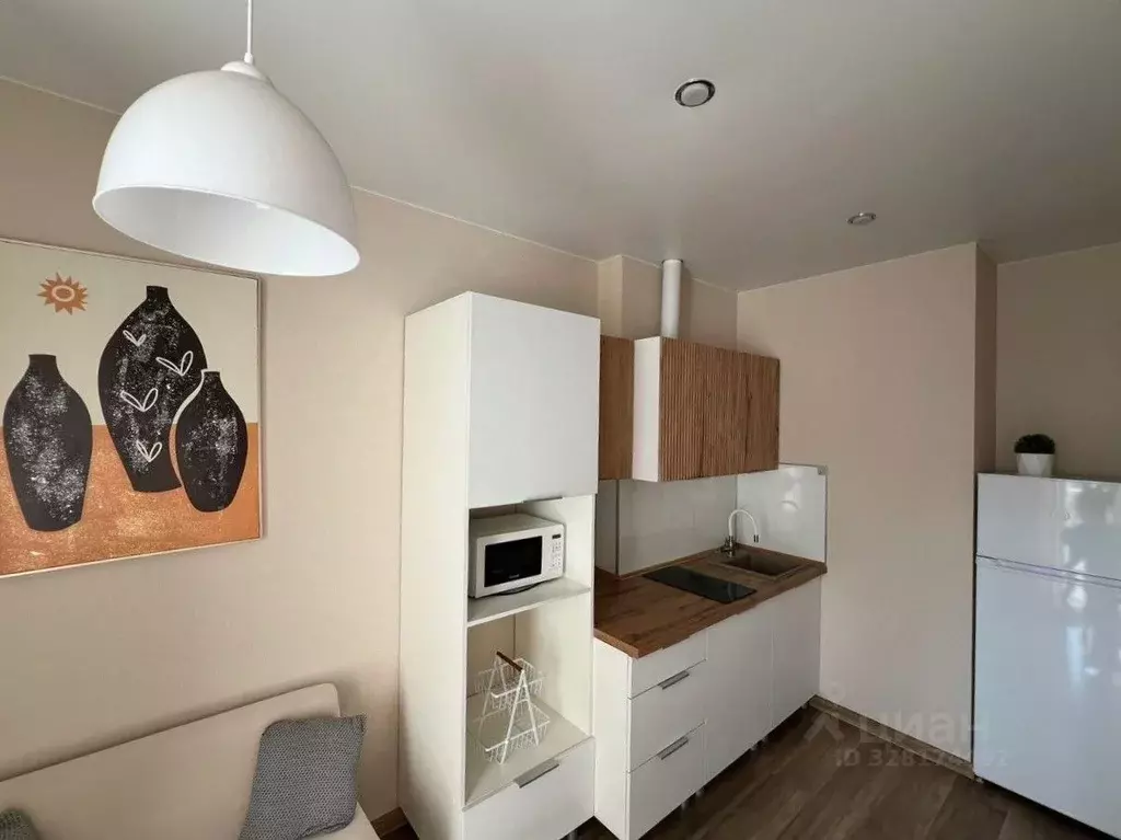 Студия Ростовская область, Ростов-на-Дону Красноармейская ул., ... - Фото 2