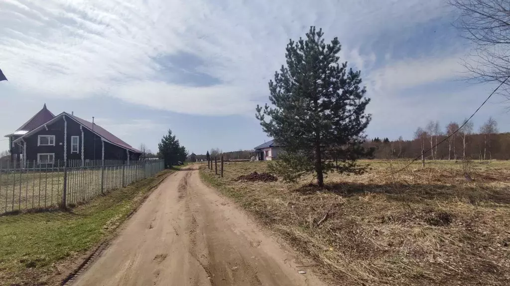 Участок в Новгородская область, Окуловский муниципальный район, ... - Фото 1