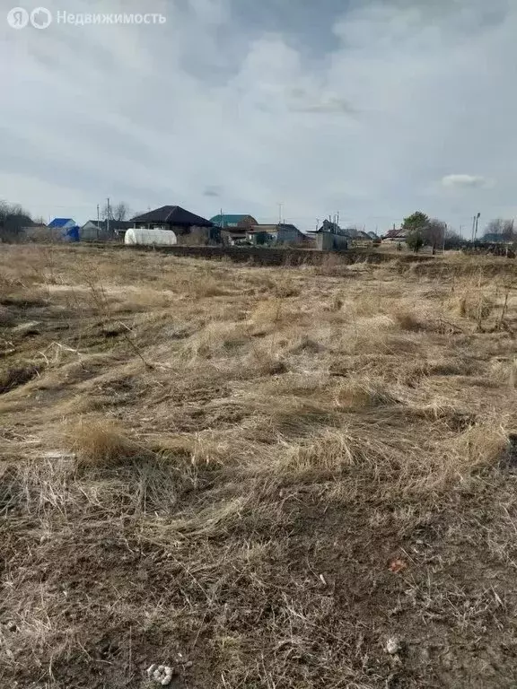 Участок в Тюменская область, село Вагай (25 м) - Фото 2