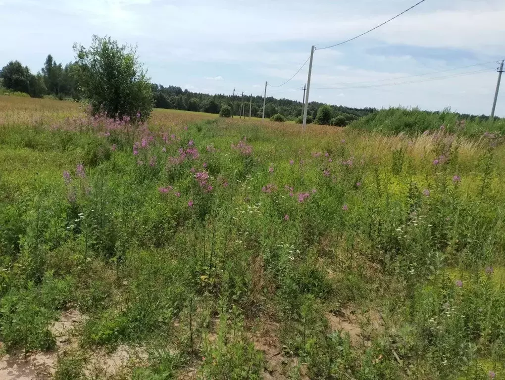 Участок в Московская область, Дмитровский муниципальный округ, ... - Фото 2