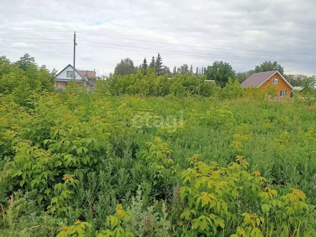 участок в башкортостан, гафурийский район, красноусольский сельсовет, . - Фото 0