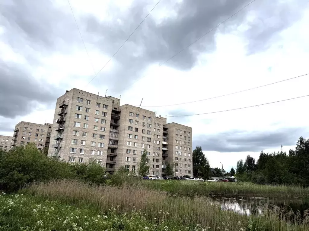 Комната Санкт-Петербург пос. Металлострой, Садовая ул., 21к3 (12.6 м) - Фото 1