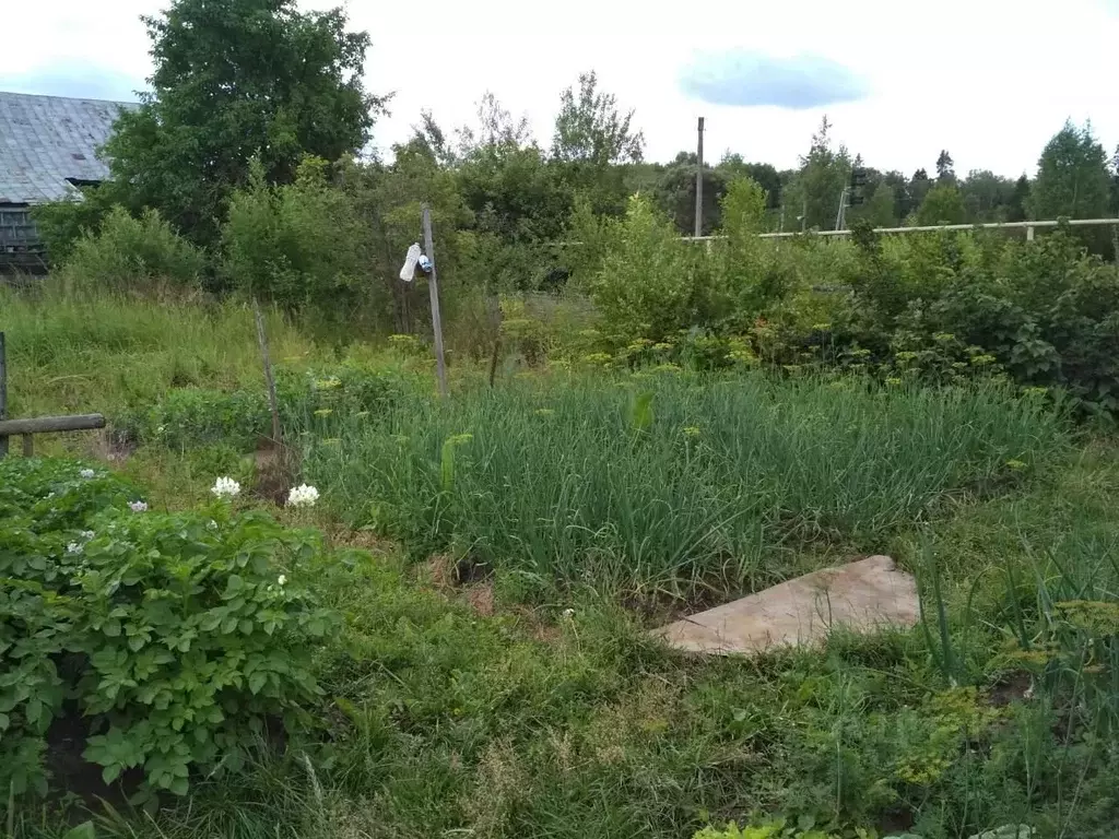 Участок в Марий Эл, Медведевский район, Краснооктябрьский городское ... - Фото 1