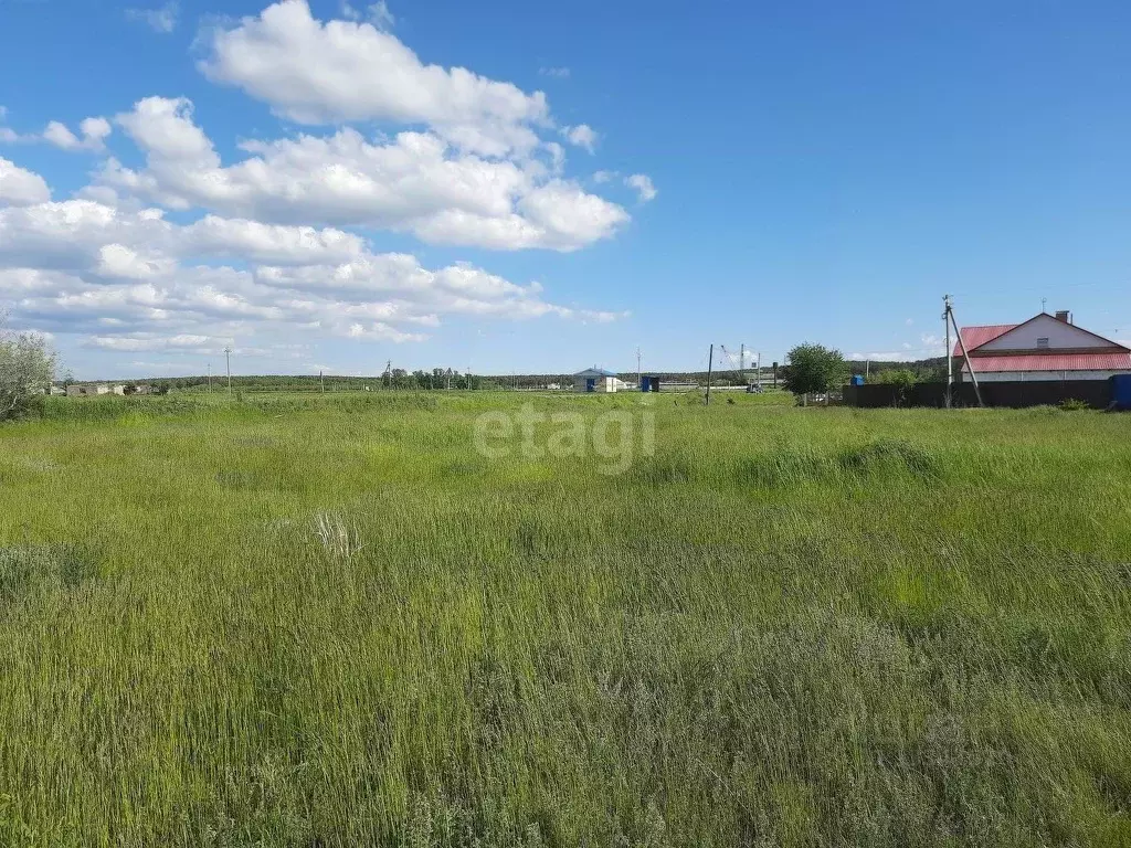 Участок в Ульяновская область, Чердаклинский район, Красноярское ... - Фото 1