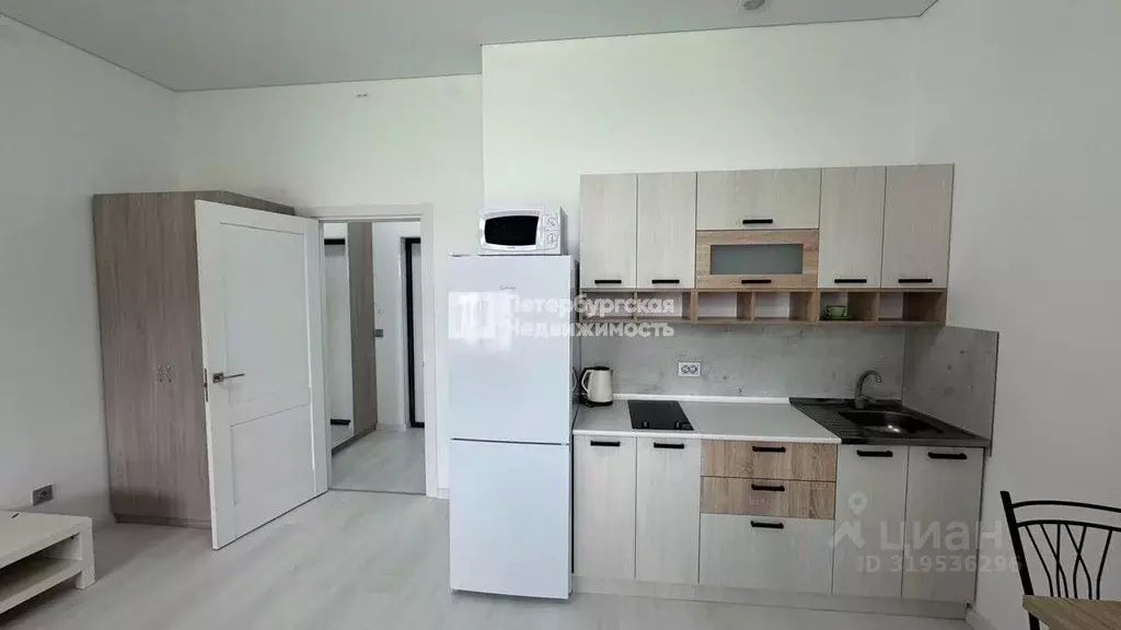 Студия Санкт-Петербург Пулковское ш., 95 (25.2 м) - Фото 0