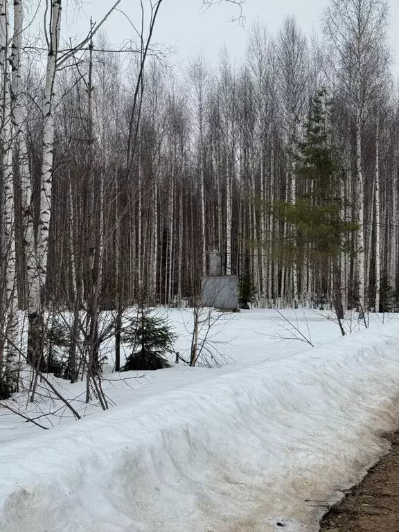 Участок в Удмуртия, Завьяловский район, д. Крестовоздвиженское, Берри ... - Фото 2