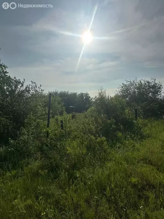 Участок в Саратов, СНТ Кумысная Поляна (12 м) - Фото 1