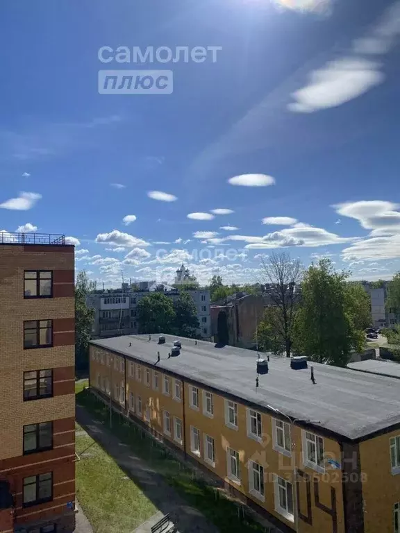 2-к кв. Псковская область, Псков Петровская ул., 4Б (76.9 м) - Фото 2