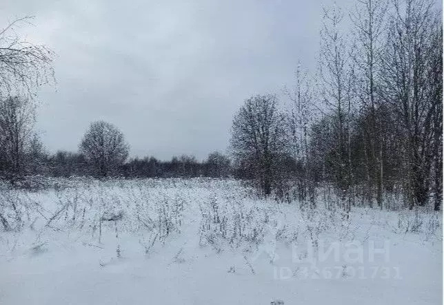 Участок в Московская область, Дмитровский муниципальный округ, д. ... - Фото 1