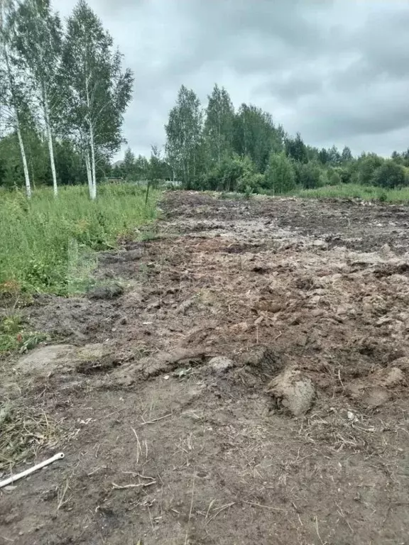 Участок в Тюменская область, Нижнетавдинский муниципальный округ, ... - Фото 1