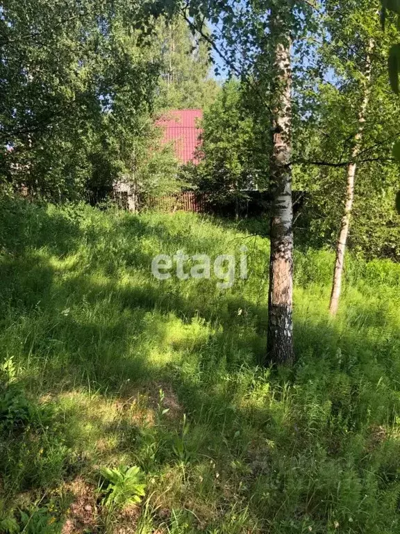 Участок в Ленинградская область, Всеволожский район, Колтушское ... - Фото 0