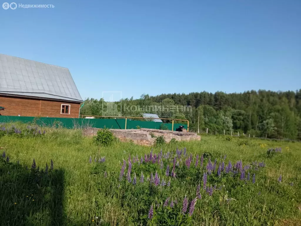 Участок в Владимирская область, Гусь-Хрустальный округ, муниципальное ... - Фото 0