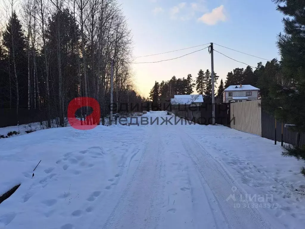 Участок в Тюменская область, Нижнетавдинский район, с. Тюнево  (17.5 ... - Фото 1