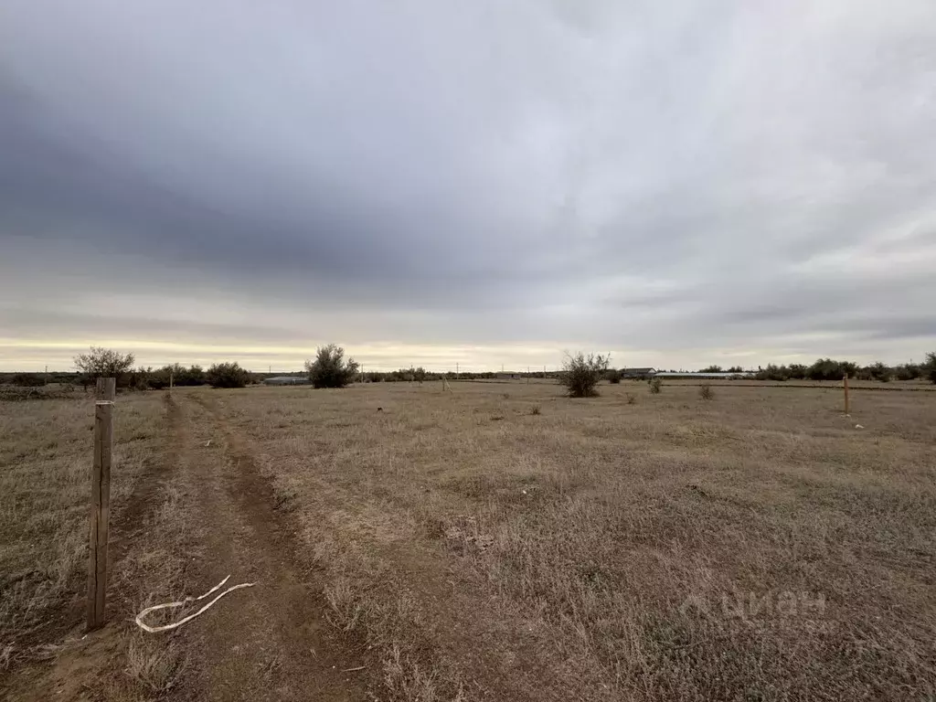 Участок в Саратовская область, Энгельсский район, Терновское ... - Фото 2