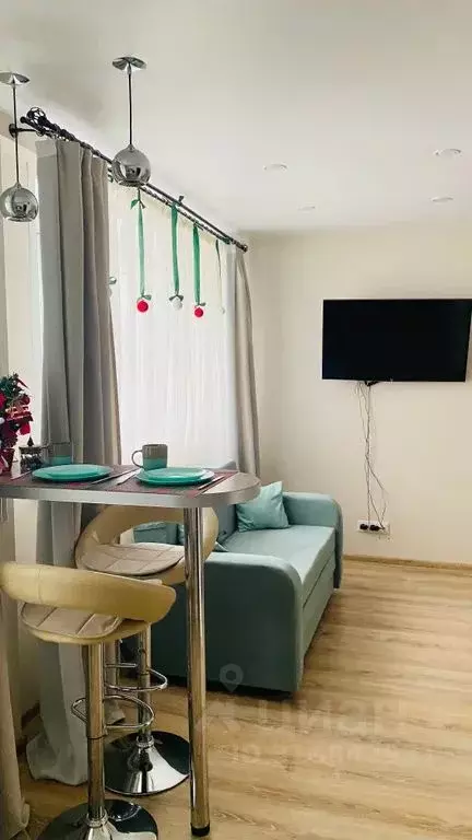 Студия Ярославская область, Ярославль ул. Спасская, 2 (28.0 м) - Фото 2