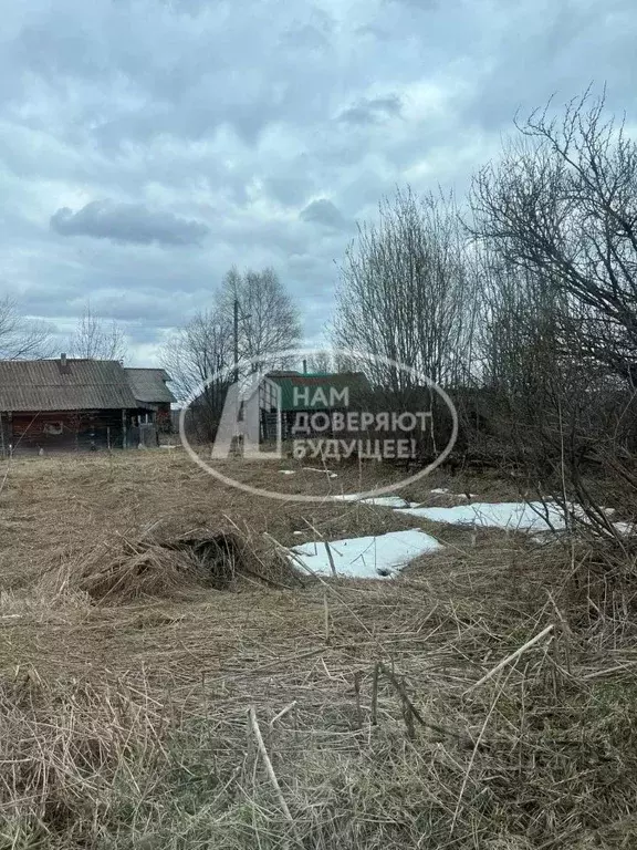 Участок в Пермский край, Чусовской муниципальный округ, с. Верхнее ... - Фото 2