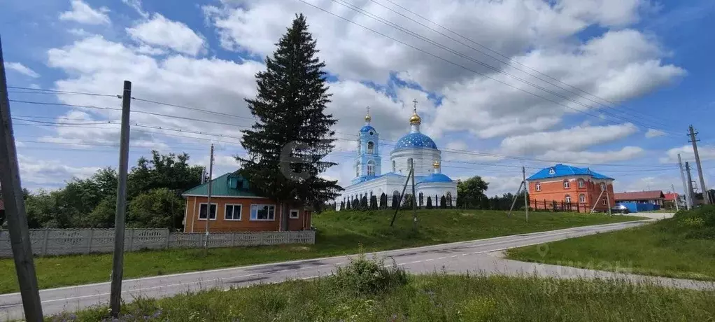 Участок в Нижегородская область, Вачский муниципальный округ, с. ... - Фото 0