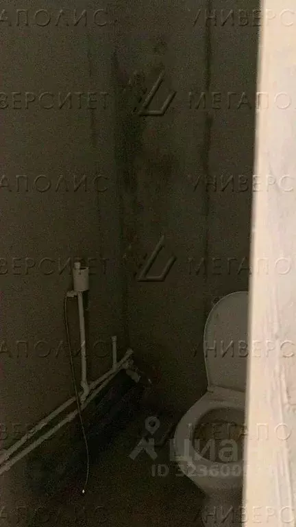 Производственное помещение в Московская область, Люберцы СНТ Зеленая ... - Фото 2