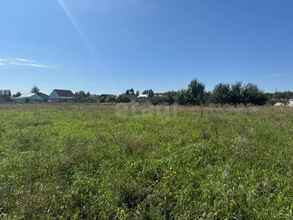 Участок в Тамбовская область, Тамбов городской округ, с. Бокино, Новый ... - Фото 2