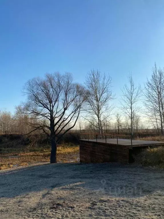 Участок в Новосибирская область, Колыванский район, Сибирская Волость ... - Фото 2