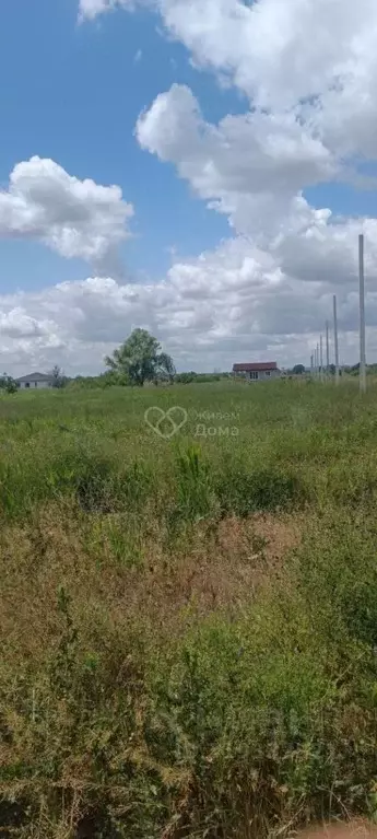 Участок в Волгоградская область, Краснослободск Среднеахтубинский ... - Фото 0