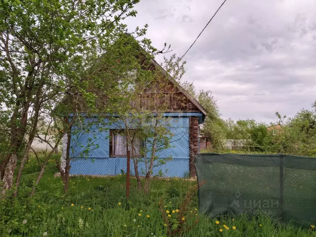 Дом в Псковская область, Островский муниципальный округ, Бережанская ... - Фото 1