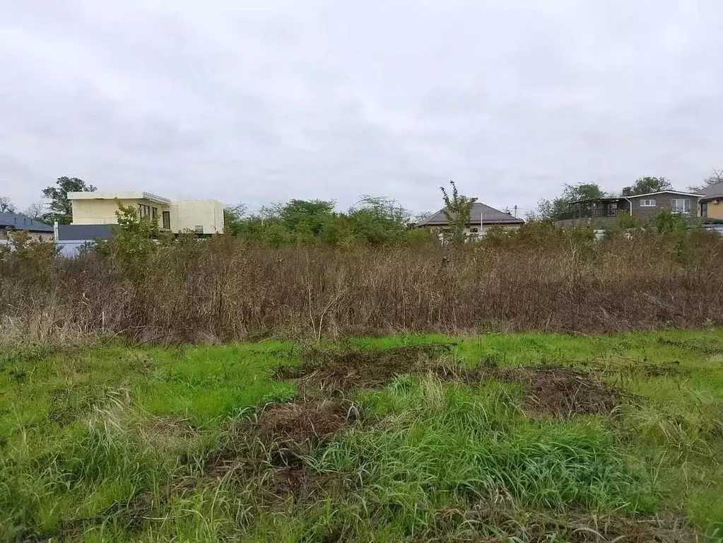 Участок в Краснодарский край, Красноармейский район, Марьянское с/пос, ... - Фото 2