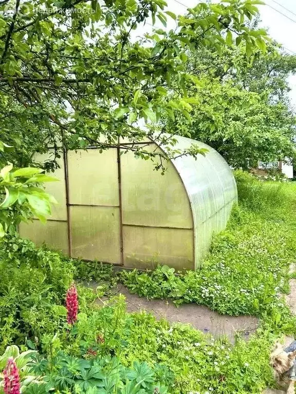 Дом в Киров, СДТ Северянка-3 (20 м) - Фото 2