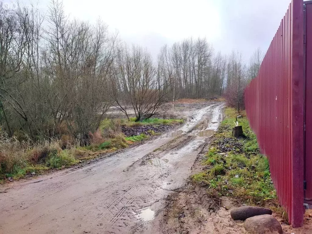 Участок в Череповец, Матуринская улица (9.64 м) - Фото 2