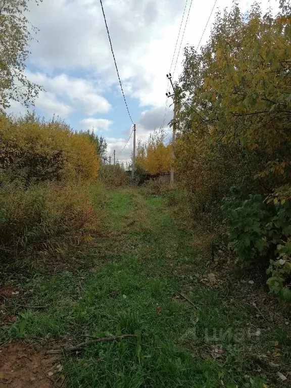 Участок в Московская область, Солнечногорск городской округ, д. ... - Фото 1