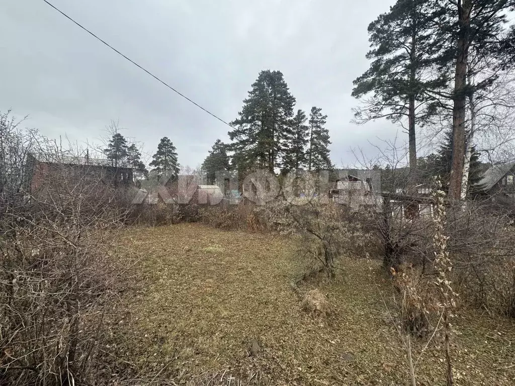 Участок в Иркутская область, Шелеховский район, пос. Большой Луг  (5.0 ... - Фото 2