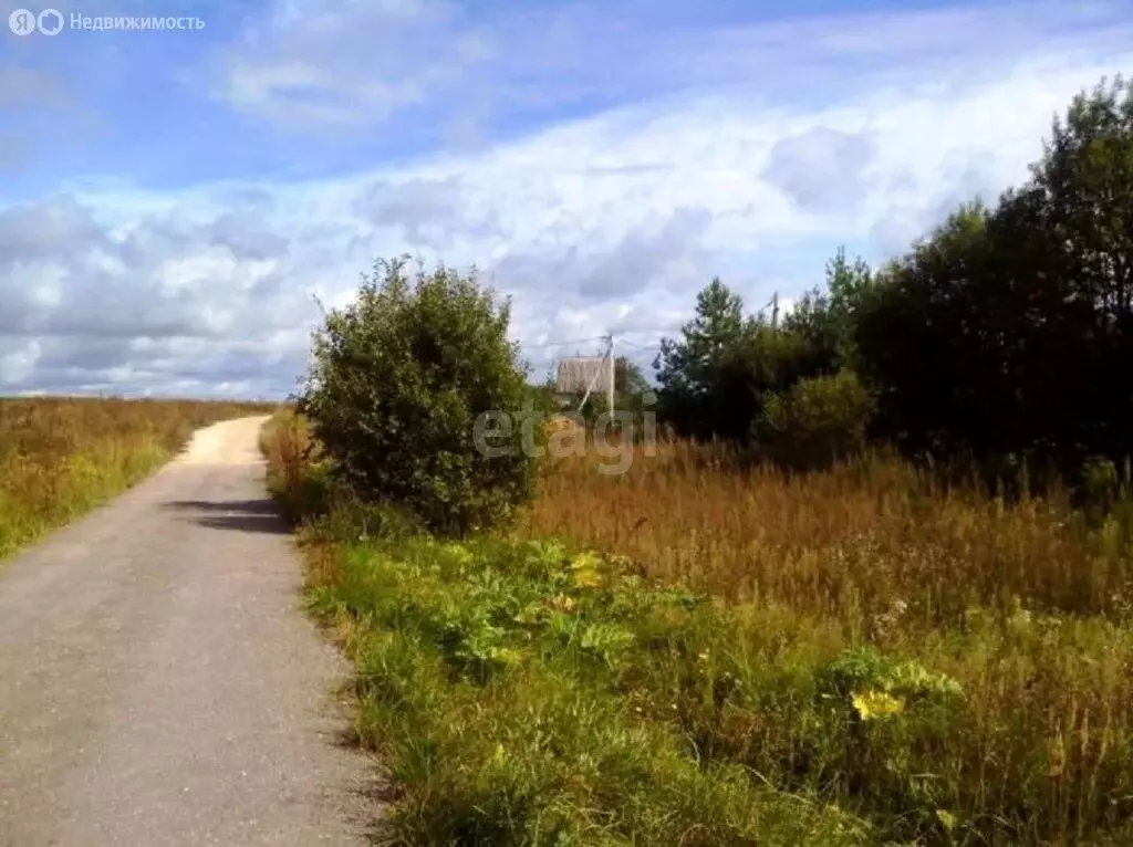 Участок в Нижегородская область, Чкаловск (50 м) - Фото 0