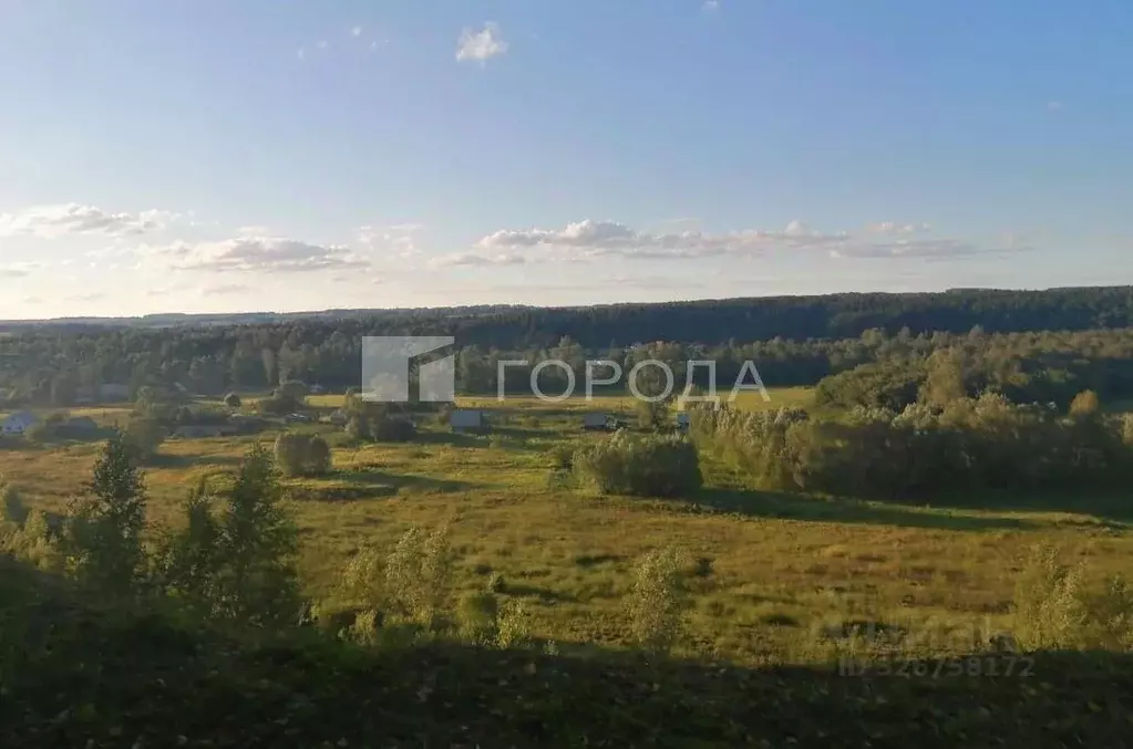 Участок в Алтайский край, Косихинский район, с. Косиха Юбилейная ул. ... - Фото 1