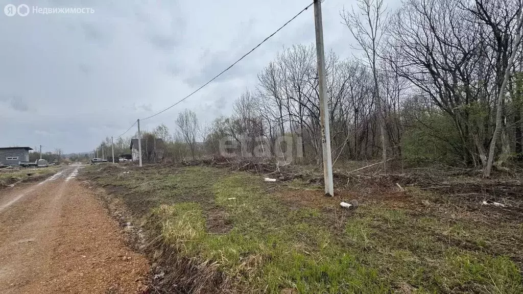 Участок в Арсеньев, Сосновая улица (12 м) - Фото 0