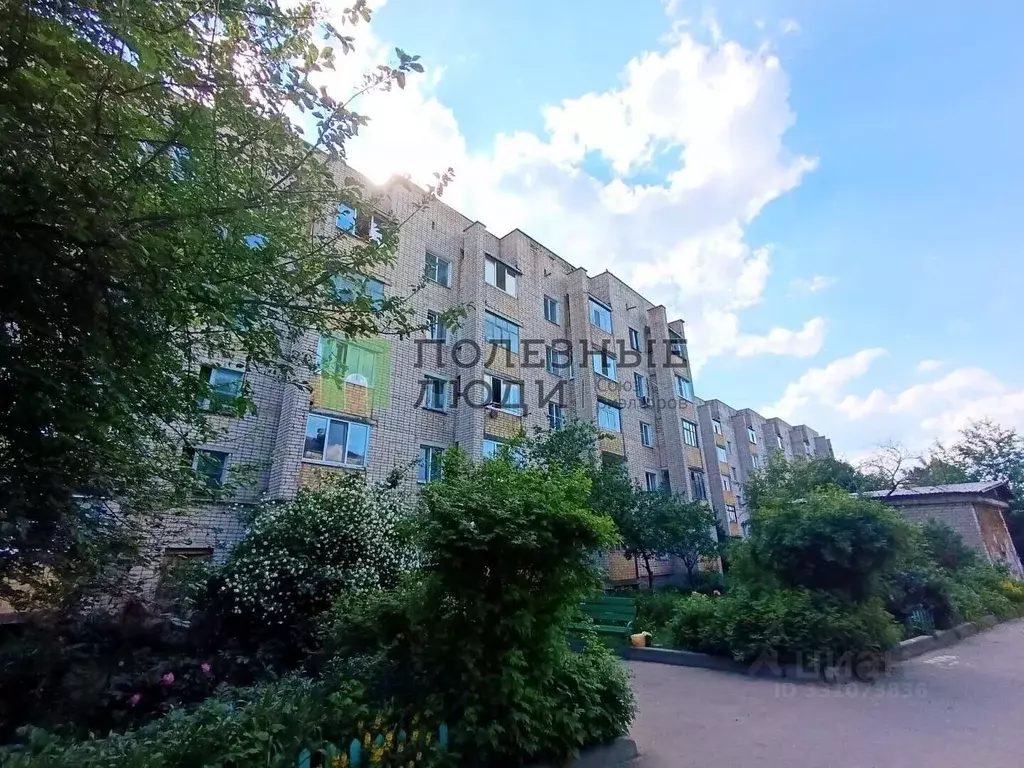 1-к кв. Орловская область, Орел Наугорское ш., 11А (29.3 м) - Фото 1