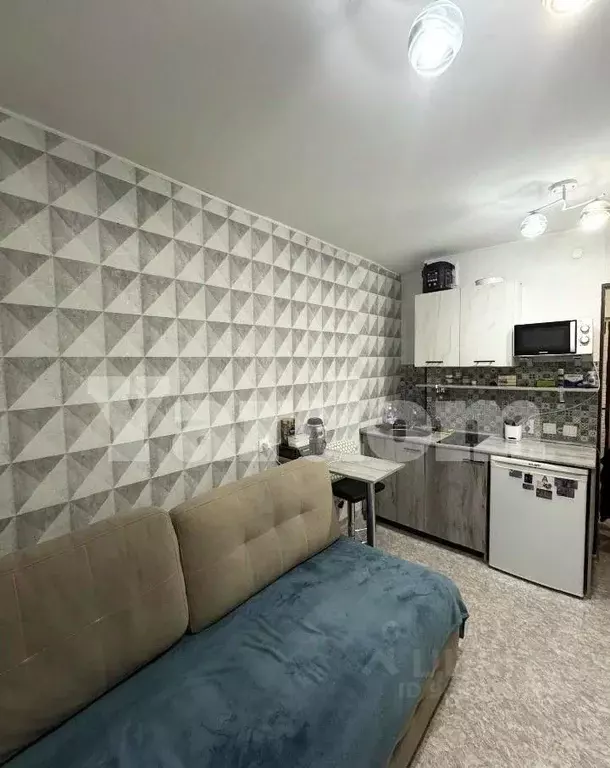 1-к кв. Красноярский край, Красноярск Лесопарковая ул., 33 (18.0 м) - Фото 1