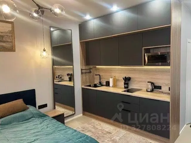 Студия Московская область, Красногорск ул. Липовой Рощи, 4к3 (28.0 м) - Фото 1