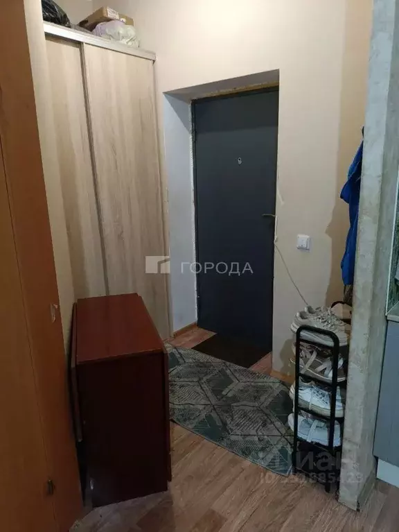 Студия Новосибирская область, Новосибирский район, Мичуринский ... - Фото 1