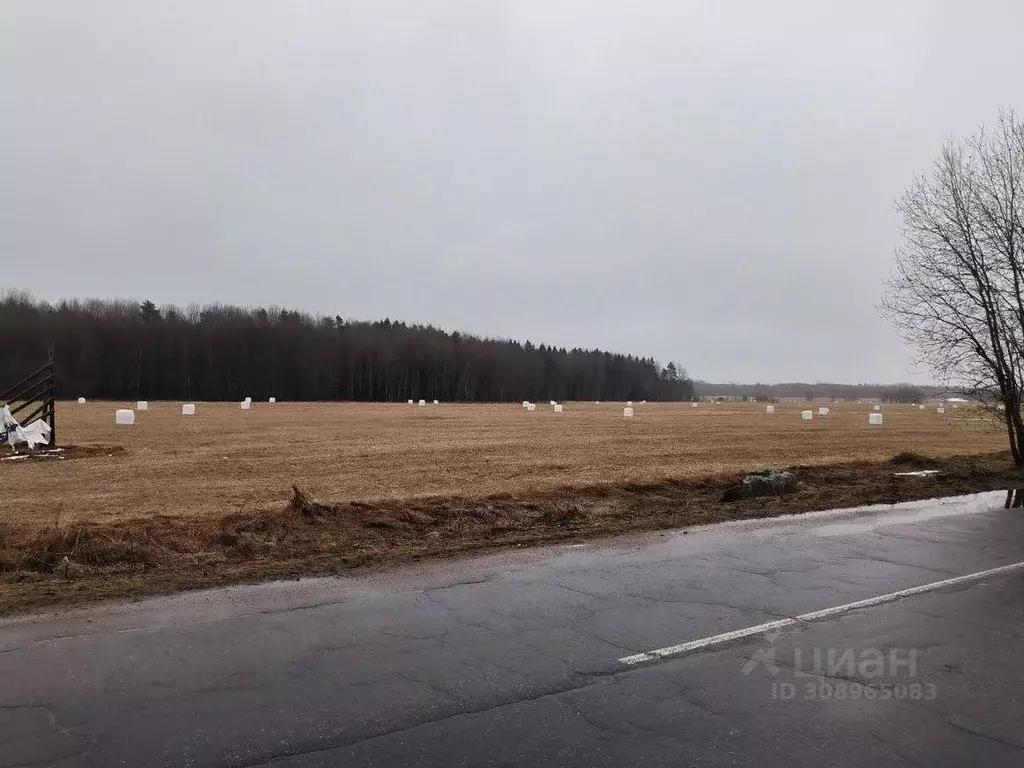 Участок в Ленинградская область, Ломоносовский район, Лопухинское ... - Фото 0