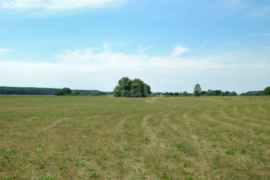 Участок в Белгородская область, Новооскольский муниципальный округ, ... - Фото 2